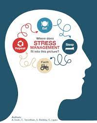 Stress Management